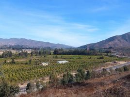  Land for sale in Chile, Coquimbo, Elqui, Coquimbo, Chile