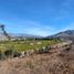 Land for sale in Chile, Coquimbo, Elqui, Coquimbo, Chile