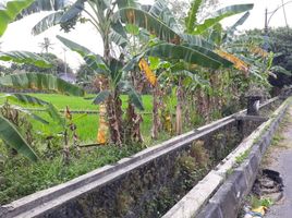  Land for sale in Yogyakarta, Seyegan, Sleman, Yogyakarta