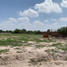Terrain à vendre à Mexquitic De Carmona, San Luis Potosi, Mexquitic De Carmona