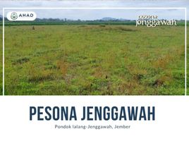  Land for sale in Jenggawah, Jember, Jenggawah