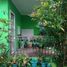 2 Bedroom Villa for sale in Citeureup, West Jawa, Citeureup, Bogor, West Jawa, Indonesia