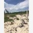  Grundstück zu verkaufen in Cozumel, Quintana Roo, Cozumel