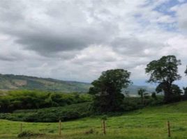  Land for sale in Caldas, Manizales, Caldas