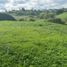  Land for sale in Pereira, Risaralda, Pereira