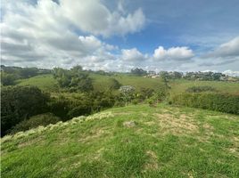  Land for sale in Pereira, Risaralda, Pereira