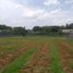  Land for sale in Cibinong, Bogor, Cibinong