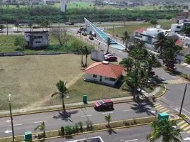  Terreno (Parcela) en venta en Panamá, Guabito, Changuinola, Bocas del Toro, Panamá