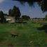  Terreno (Parcela) en venta en Tequixquiac, México, Tequixquiac