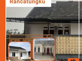 2 Bedroom House for sale in Pameungpeuk, Bandung, Pameungpeuk