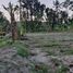 3 Habitación Casa en venta en Prambanan, Jawa Tengah, Prambanan, Klaten, Jawa Tengah