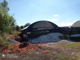  Terreno (Parcela) en venta en Atlixco, Puebla, Atlixco, Puebla