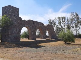  토지을(를) Irapuato, 구아나후토에서 판매합니다., Irapuato