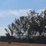  토지을(를) Irapuato, 구아나후토에서 판매합니다., Irapuato