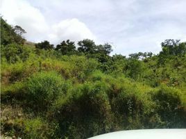  Land for sale in Anton, Cocle, San Juan De Dios, Anton