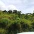  Land for sale in San Juan De Dios, Cocle, San Juan De Dios, Anton, Cocle