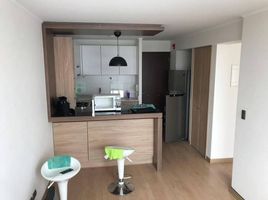 2 chambre Appartement for rent in Lima District, Lima, Lima District