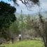  Terreno (Parcela) en venta en Chile, Chepica, Colchagua, Libertador General Bernardo O'Higgins, Chile