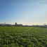  Land for sale in Chile, Machali, Cachapoal, Libertador General Bernardo Ohiggins, Chile