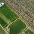  Land for sale in Chile, Machali, Cachapoal, Libertador General Bernardo Ohiggins, Chile