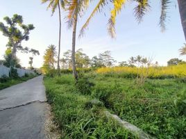  Tanah for sale in Ngemplak, Sleman, Ngemplak