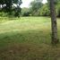  Land for sale in Cocle, Rio Hato, Anton, Cocle