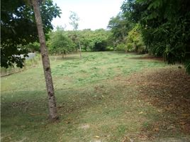  Terreno (Parcela) en venta en Coclé, Río Hato, Antón, Coclé