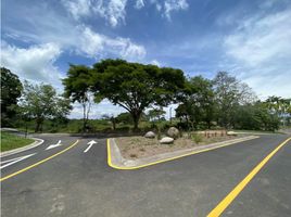  Land for sale in Pereira, Risaralda, Pereira