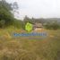  Land for sale in Caqueta, Florencia, Caqueta