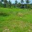  Land for sale in Kerambitan, Tabanan, Kerambitan