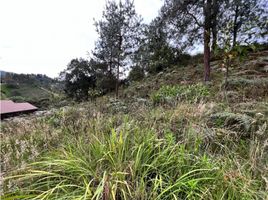  Land for sale in Envigado, Antioquia, Envigado