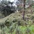  Land for sale in Envigado, Antioquia, Envigado