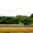 Terrain à vendre à Cuernavaca, Morelos, Cuernavaca, Morelos