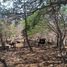  Terreno (Parcela) en venta en Pihuamo, Jalisco, Pihuamo