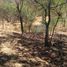  Terreno (Parcela) en venta en Pihuamo, Jalisco, Pihuamo