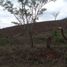  Terreno (Parcela) en venta en Pihuamo, Jalisco, Pihuamo