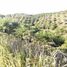  Land for sale in Talibon, Central Visayas, Talibon