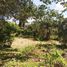  Terreno (Parcela) en venta en Dzitas, Yucatán, Dzitas