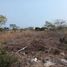  Terreno (Parcela) en venta en Merida, Yucatán, Merida