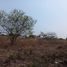  Terreno (Parcela) en venta en Merida, Yucatán, Merida