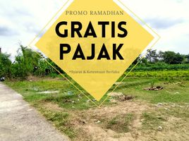  Land for sale in Yogyakarta, Kalasan, Sleman, Yogyakarta