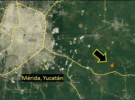 Terrain à vendre à Tixkokob, Yucatan, Tixkokob