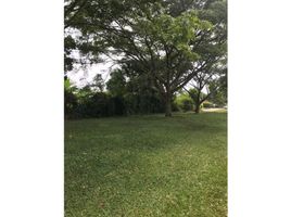  Land for sale in Cali, Valle Del Cauca, Cali