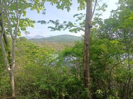  Grundstück zu verkaufen in Dist Pochutla, Oaxaca, Dist Pochutla