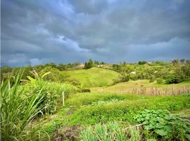  Land for sale in El Carmen De Viboral, Antioquia, El Carmen De Viboral