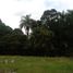  Land for sale in Cocle, Rio Hato, Anton, Cocle