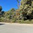 Land for rent in Culiacan, Sinaloa, Culiacan