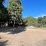  Land for rent in Culiacan, Sinaloa, Culiacan