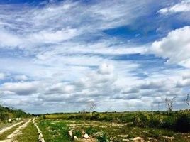 Terrain à vendre à Tixpehual, Yucatan, Tixpehual