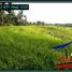  Land for sale in Kerambitan, Tabanan, Kerambitan